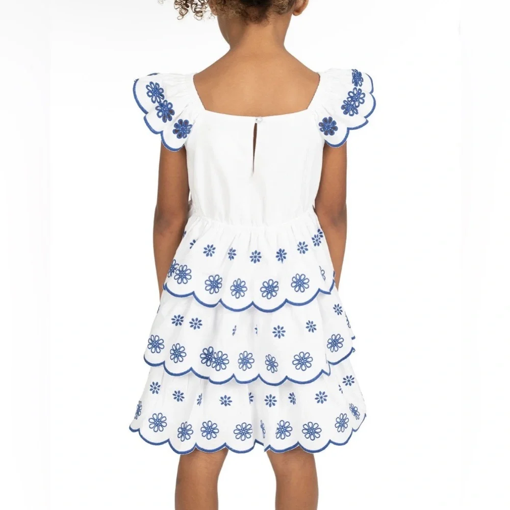 Counting Daisies | Toddler Girl White Dress w/ Blue Floral Embroidery | Size 2T